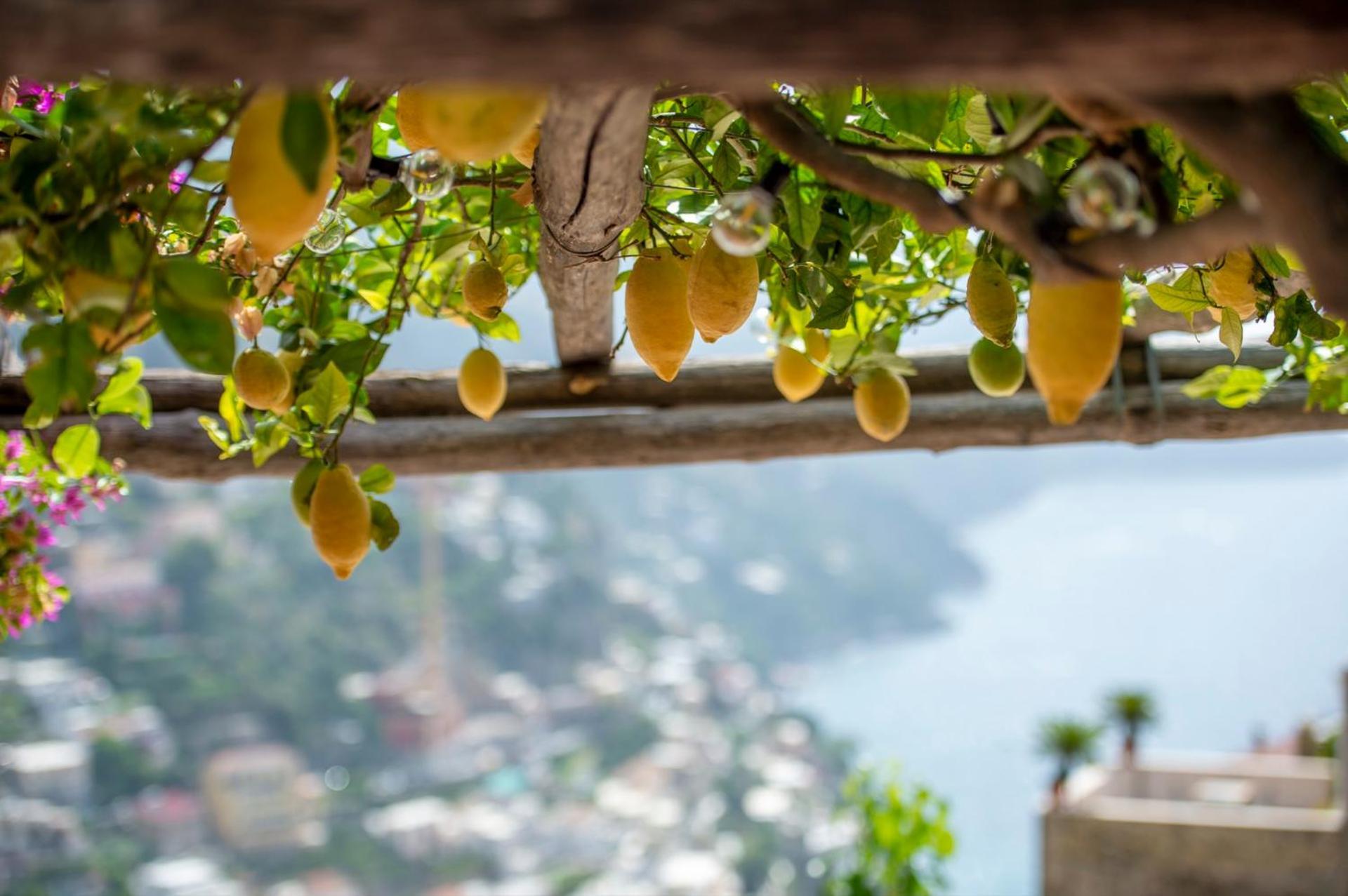 Yourhome - La Casupola Positano Exteriör bild